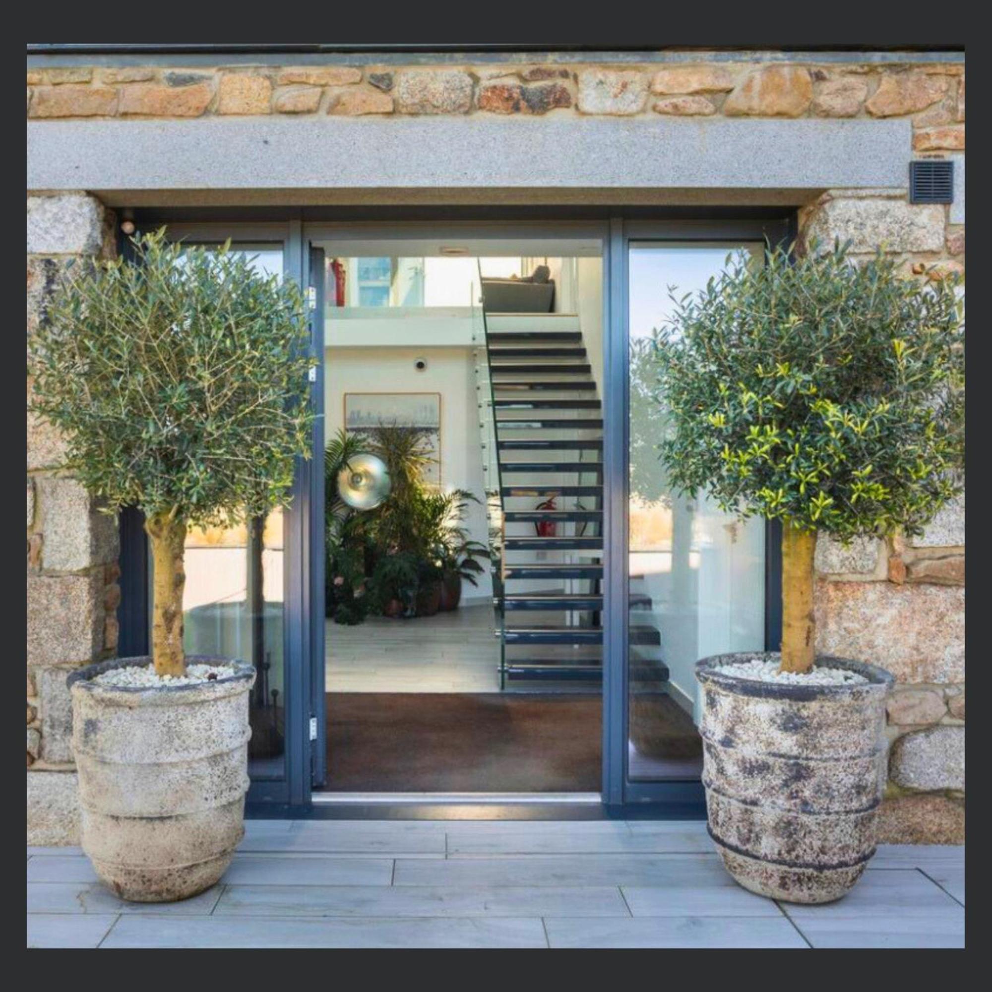 Uno St Ives - Luxury Serviced Accommodation Eksteriør bilde